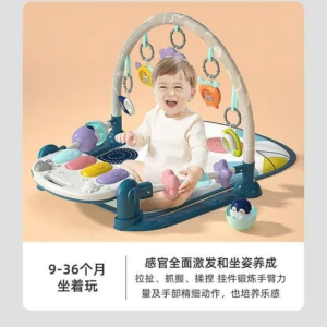 Baby Play Gym & Activity Mat
